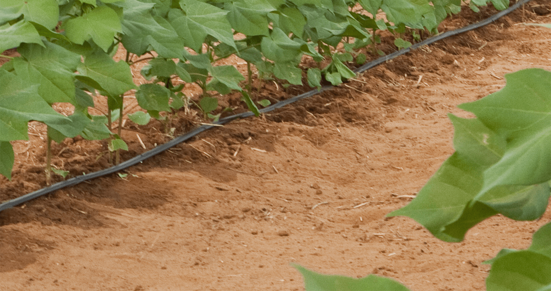 D2000 Tube goutte à goutte à paroi épaisse
