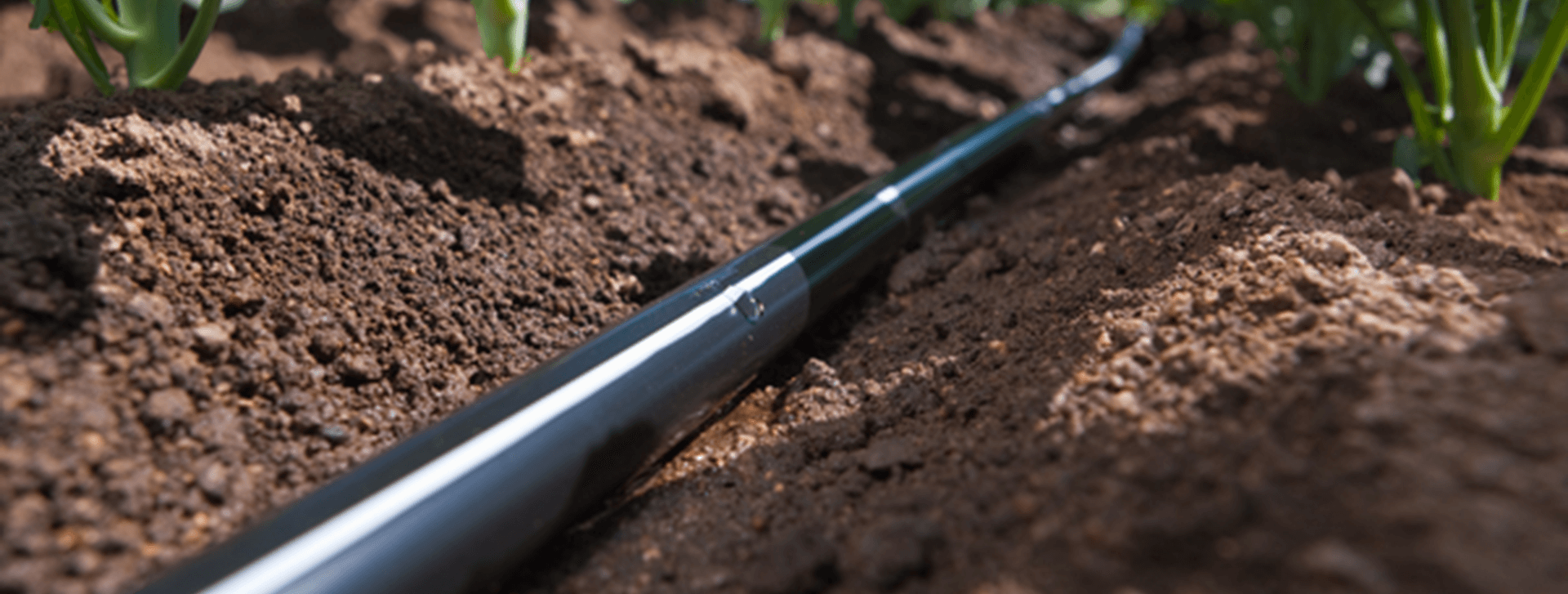 Gaine Goutte à goutte T-Tape de Rivulis : La meilleure distribution d&rsquo;eau, et de loin