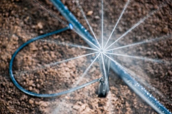 Micro-asperseurs ou Micro-jets  Lesquels choisir?