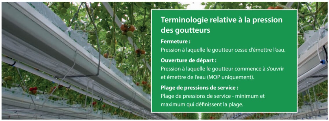 Dripper Pressure Terminology