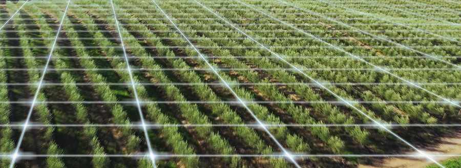 L&rsquo;agriculture intelligente