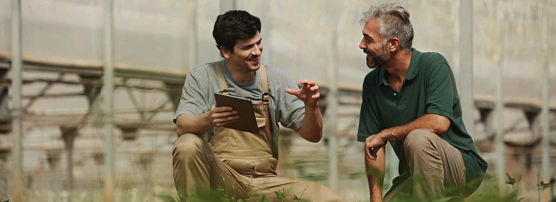 Irrigation par aspersion