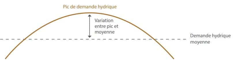 demande hydrique des fruits à coque