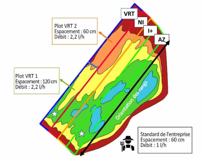 POSITIONING OF THE 4 THESES IN THE VINEYARD AND CHARACTERISTICS OF THE IRRIGATION SYSTEM