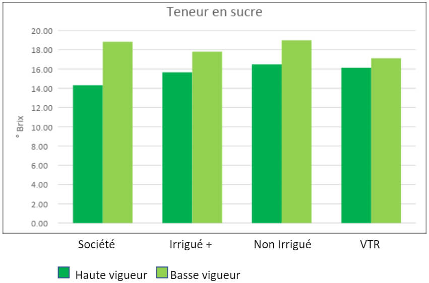 GRAPE 4 : SUGAR CONTENT AT HARVEST (2021)