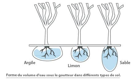 Forme du volume d'eau sous le goutteur dans différents types de sol.