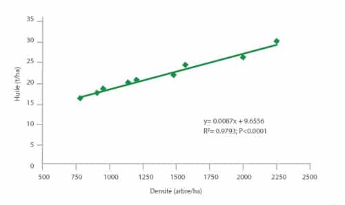 régression linéaire de l'huile accumulée par hectare en fonction de la densité des oliviers 