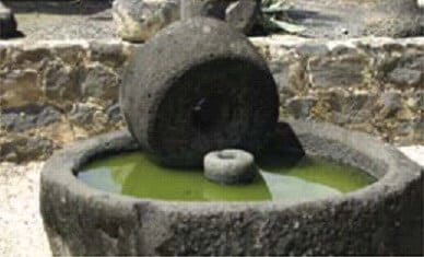 Les bienfaits de l’huile d’olive dans le monde antique