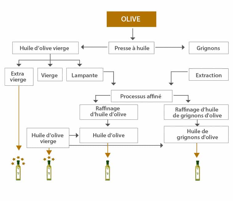 processus de production de l'huile d'olive
