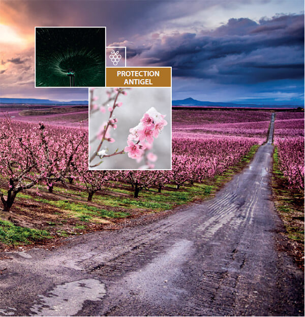 PROTECTION ANTIGEL