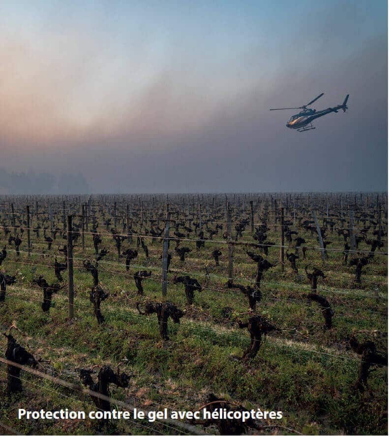Protection contre le gel avec hélicoptères 