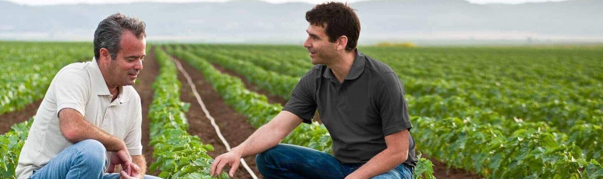 Exploration des différents types d&rsquo;irrigation et de leurs applications