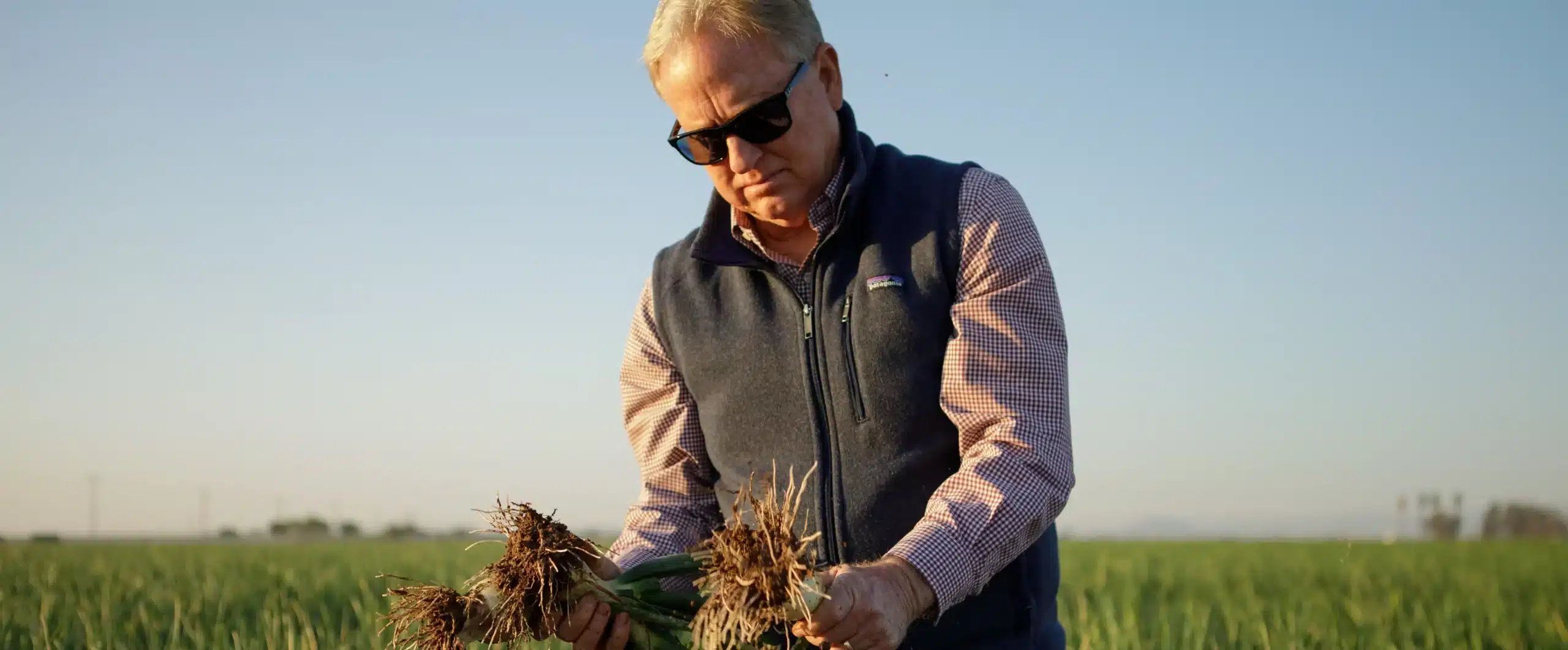 Innovez avec le T-Tape de Rivulis  et augmentez vos rendements!