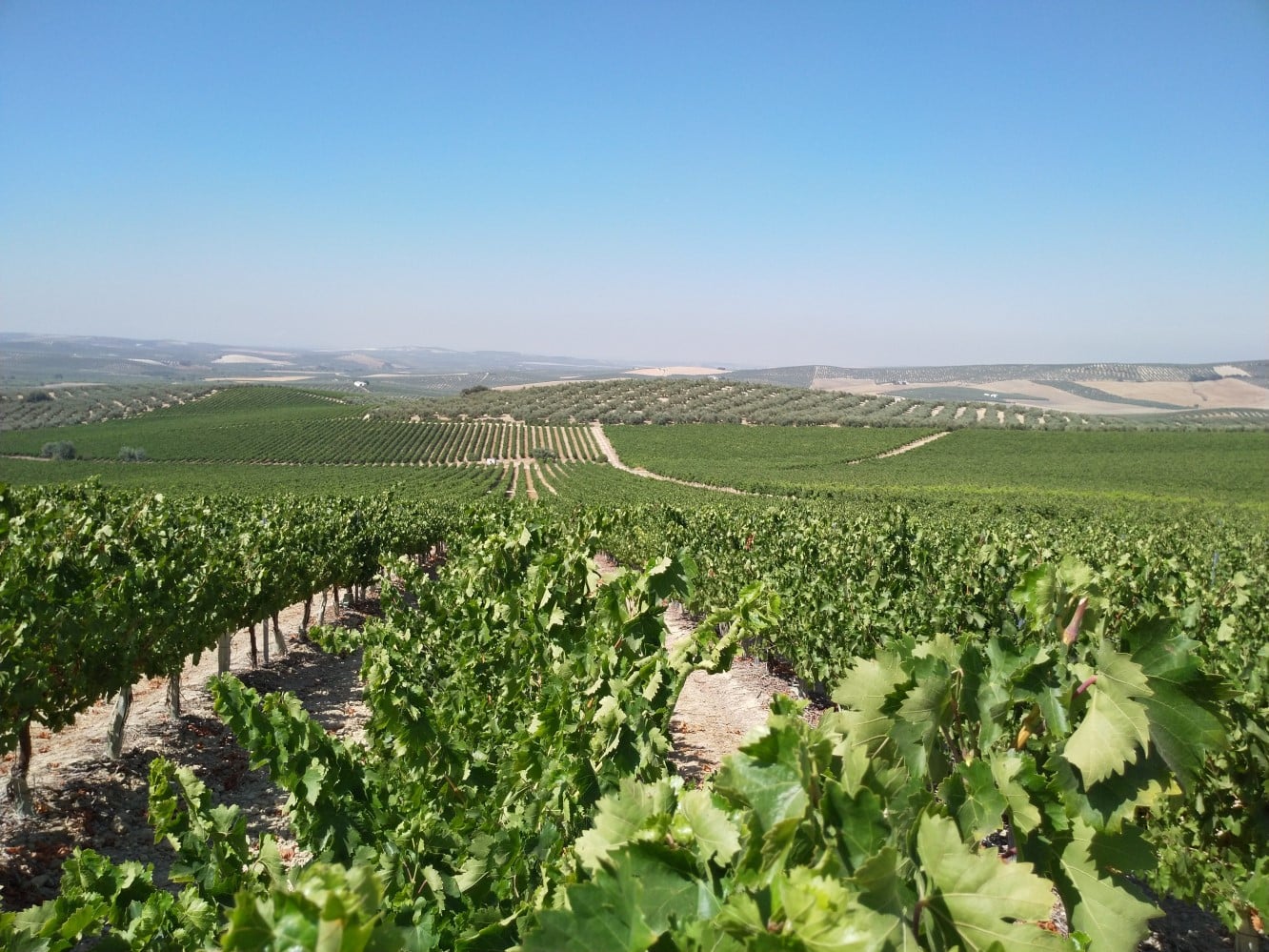 Rivulis présente le filtre hydraulique innovant F3240 IQ