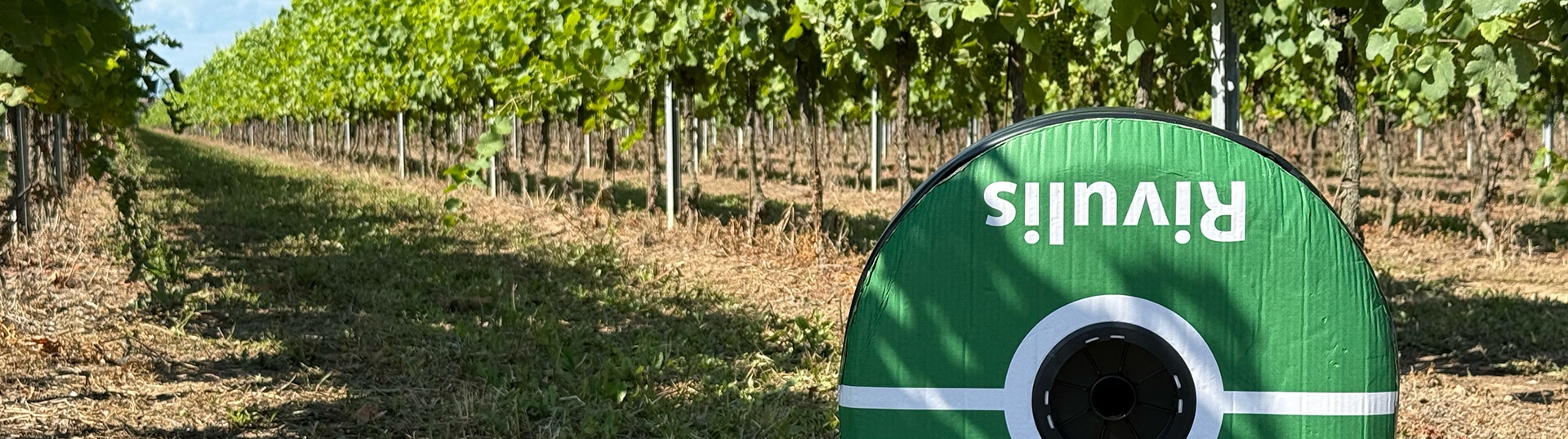 Irrigation fragmentée et difficile à gérer : comment Rivulis a résolu les problèmes dans les vignobles de Daniele Avoledo